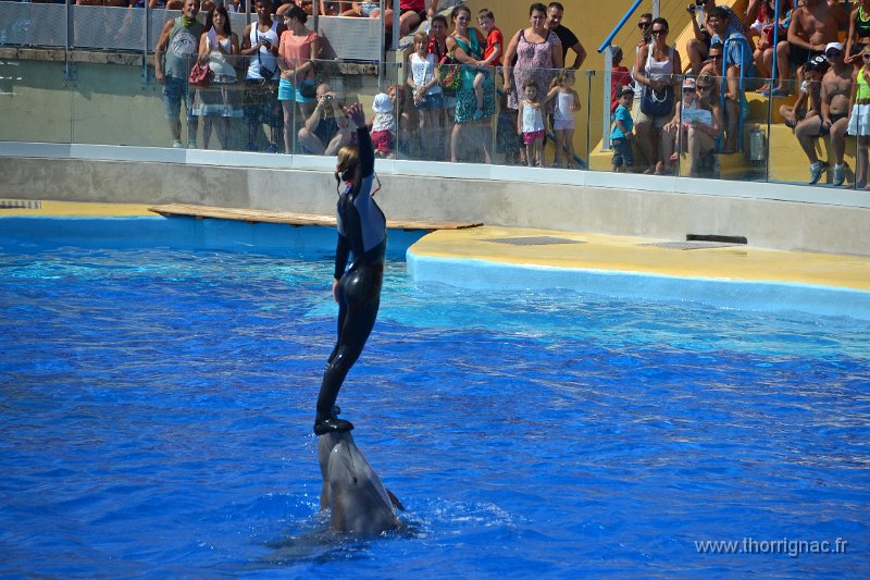 Marineland aout 2014 41.JPG - Marineland - Parc d'attractions aquatiques - Antibes - Août 2014